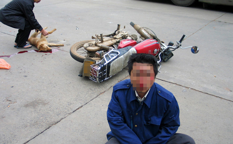 摩托车与狗相撞发生交通事故